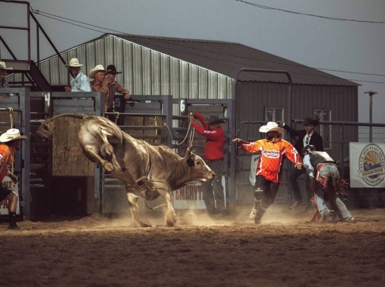 Bull jumps wildly in rodeo arena as cowboys scramble to safety.