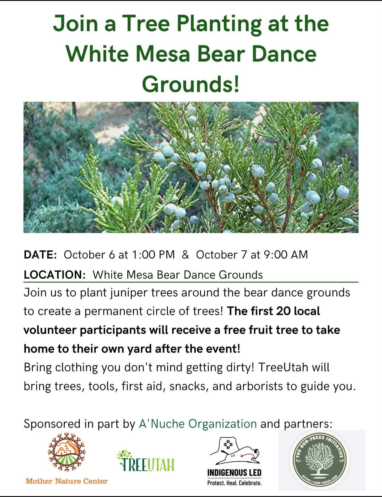 white mesa tree planting