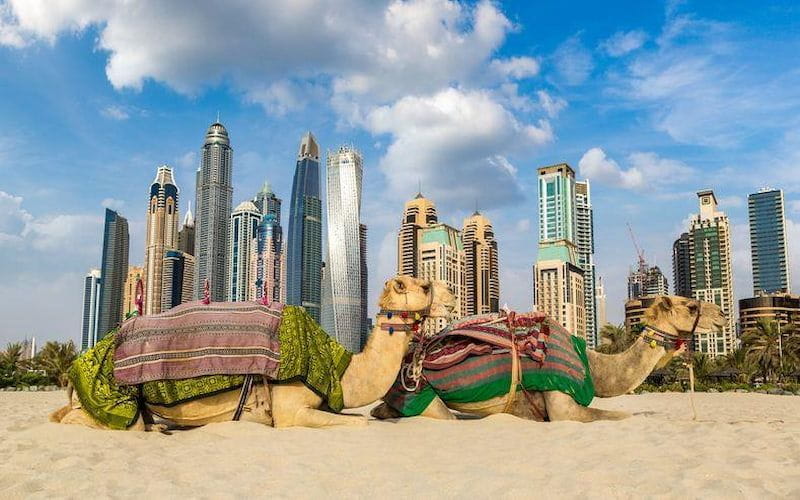 800 Your First Trip to Dubai: What You Need to Know