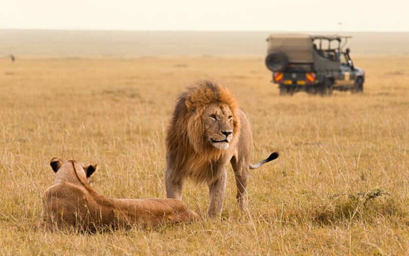 Attractions in Kenya