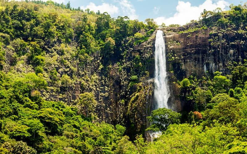 Beautiful Waterfalls