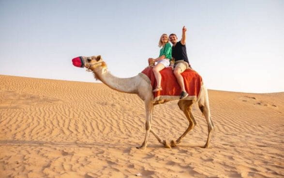 Top 7 Camel Riding Experiences in Dubai’s Deserts