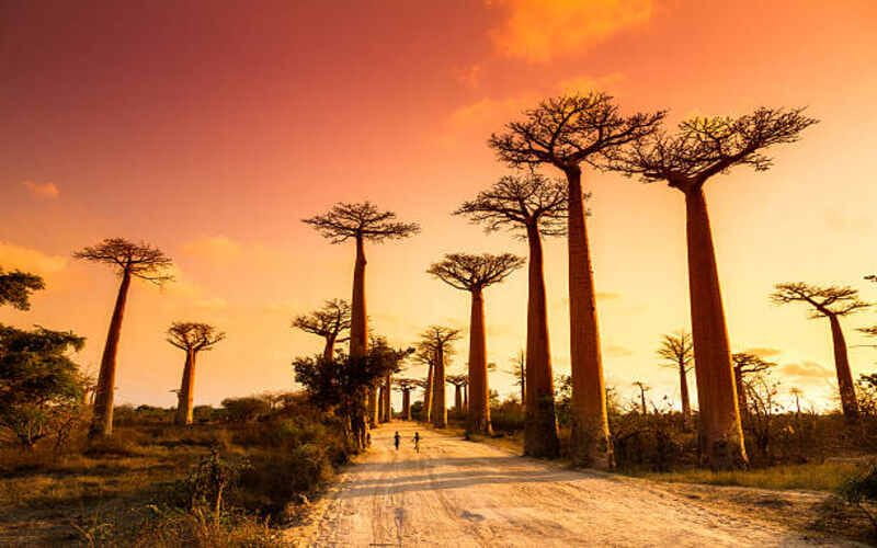 Attractions in Madagascar