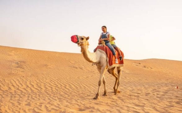 Top 7 Camel Riding Experiences in Dubai’s Deserts