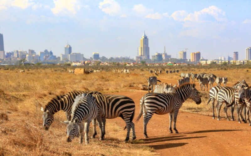 Attractions in Kenya