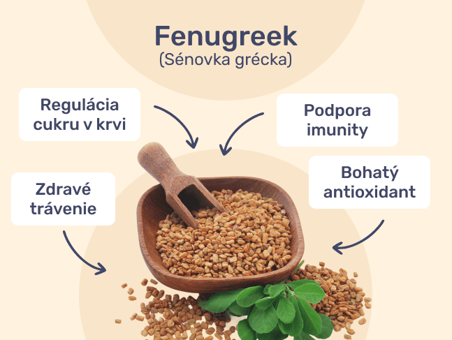 #3 - Infografika - AlphaMax For Lady - styri vyhody senkovky greckej