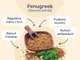 #3 - Infografika - AlphaMax For Lady - styri vyhody senkovky greckej