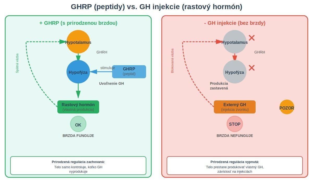 Porovnanie GHRP (so spätnou väzbou) vs injekcie GH (bez spätnej väzby)