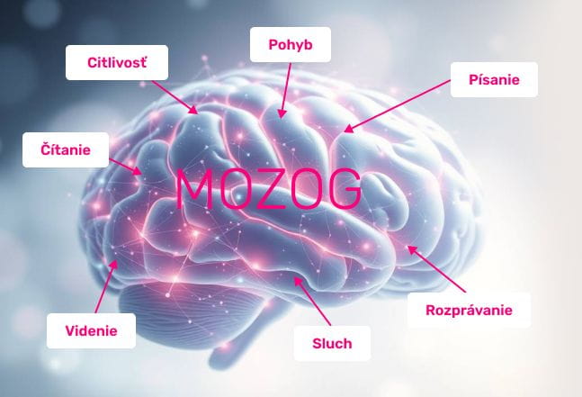 #2 - Infografika - Mozgova aktivita - infografika