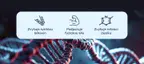 #1 - Infografika - Anogenin - výhody laxogeninu pro zvýšení síly a růst svalů