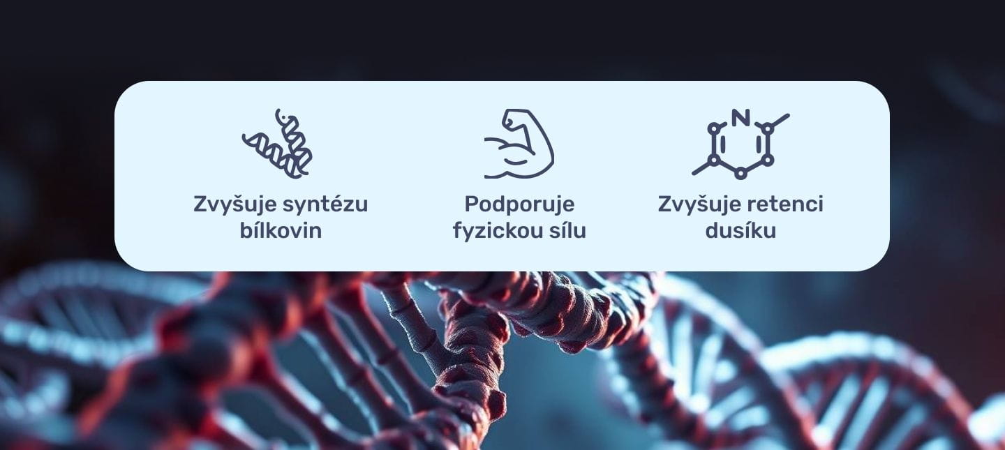 #1 - Infografika - Anogenin - výhody laxogeninu pro zvýšení síly a růst svalů