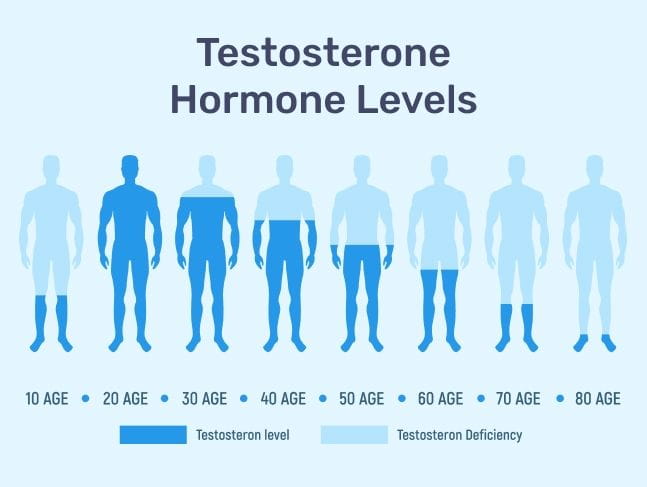 #3 – Infografika – PCT lll – hladiny testosteronu