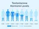 #3 – Infografika – PCT lll – hladiny testosteronu