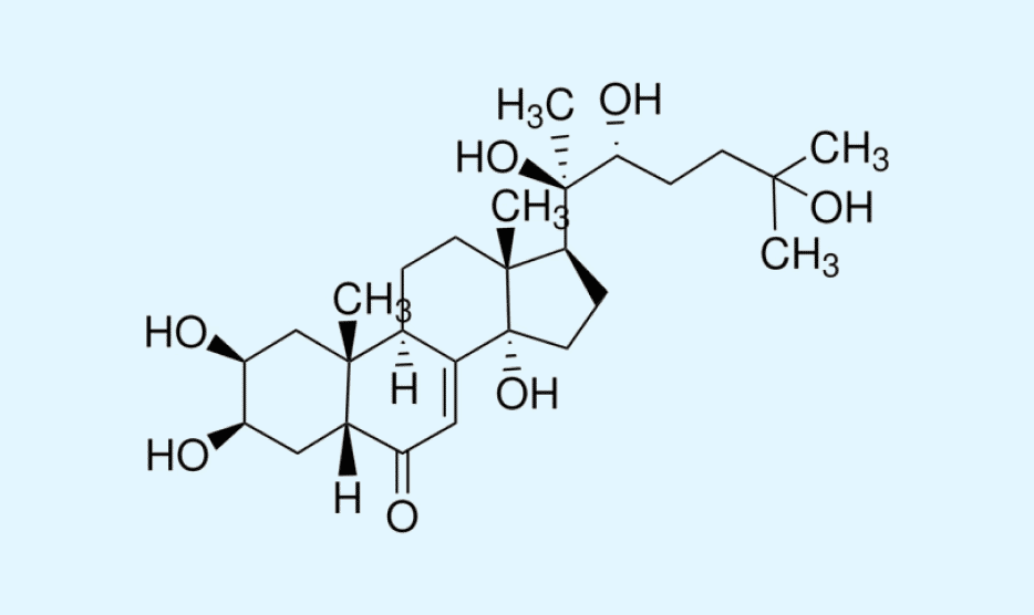 #3 - Infografika - EVOKE - Beta-Ecdysterone chemicky vzorec