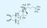 #3 - Infografika - EVOKE - Beta-Ecdysterone chemicky vzorec