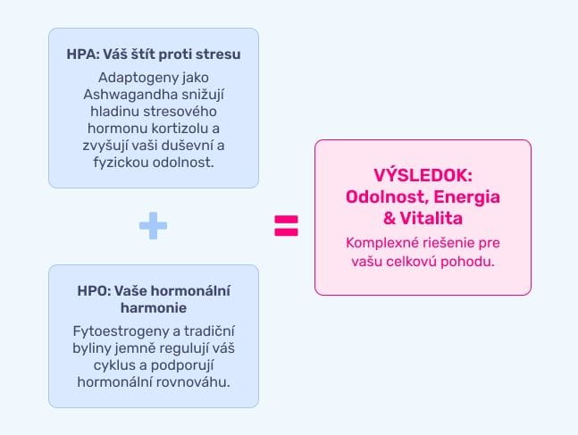 #3 – Infografika – Alpha Max for Lady – Hormonální síla