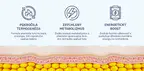 #1 - Infografika - Hellburn - 3 urovne efektivneho spalovania tukov