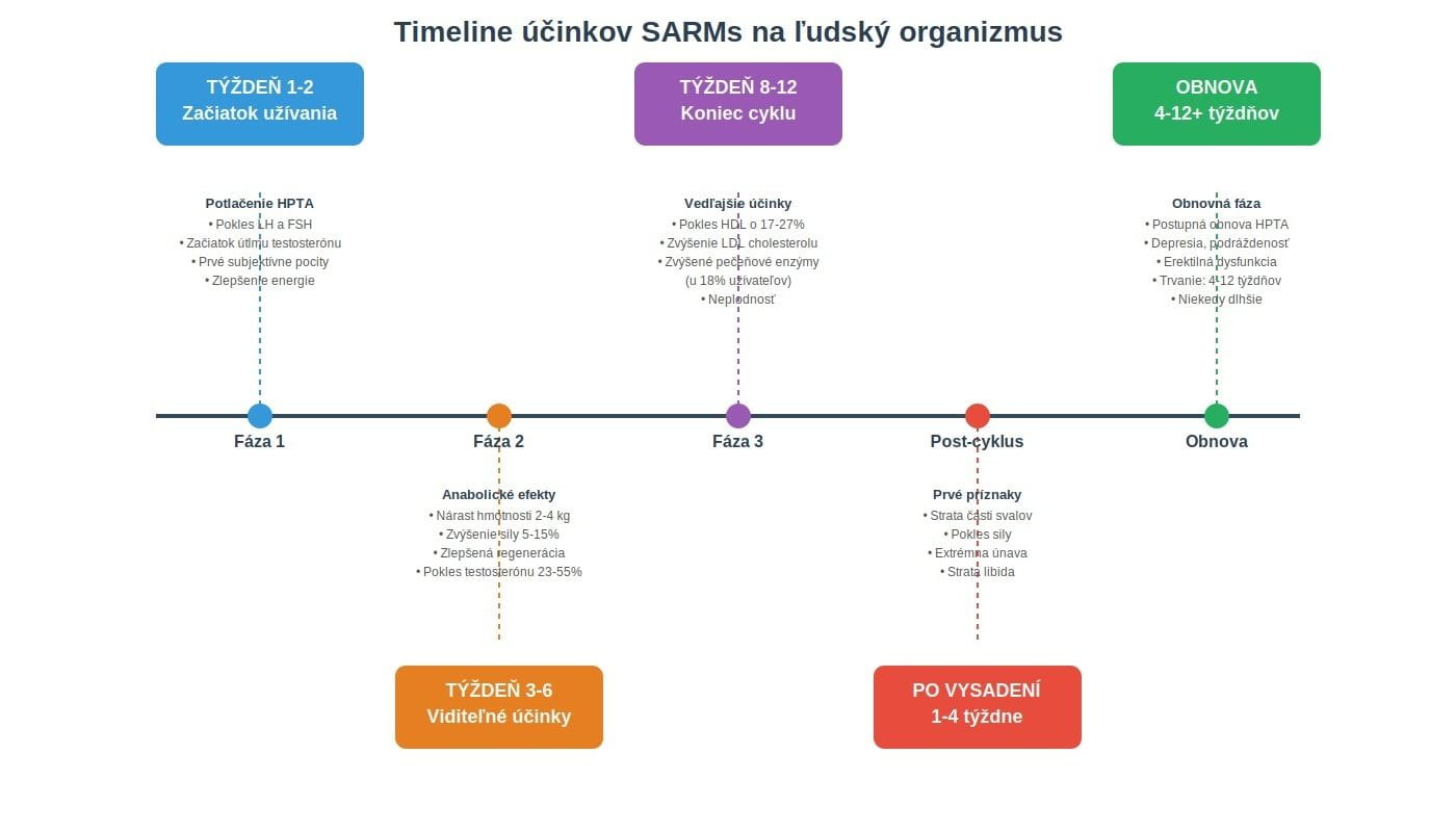 Časová os účinkov SARMs od začiatku užívania po obnovu