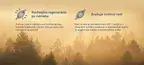 #1 - Infografika - Anabolic Deer - grafika znazornuje rychlejsiu regeneraciu a rast svalov