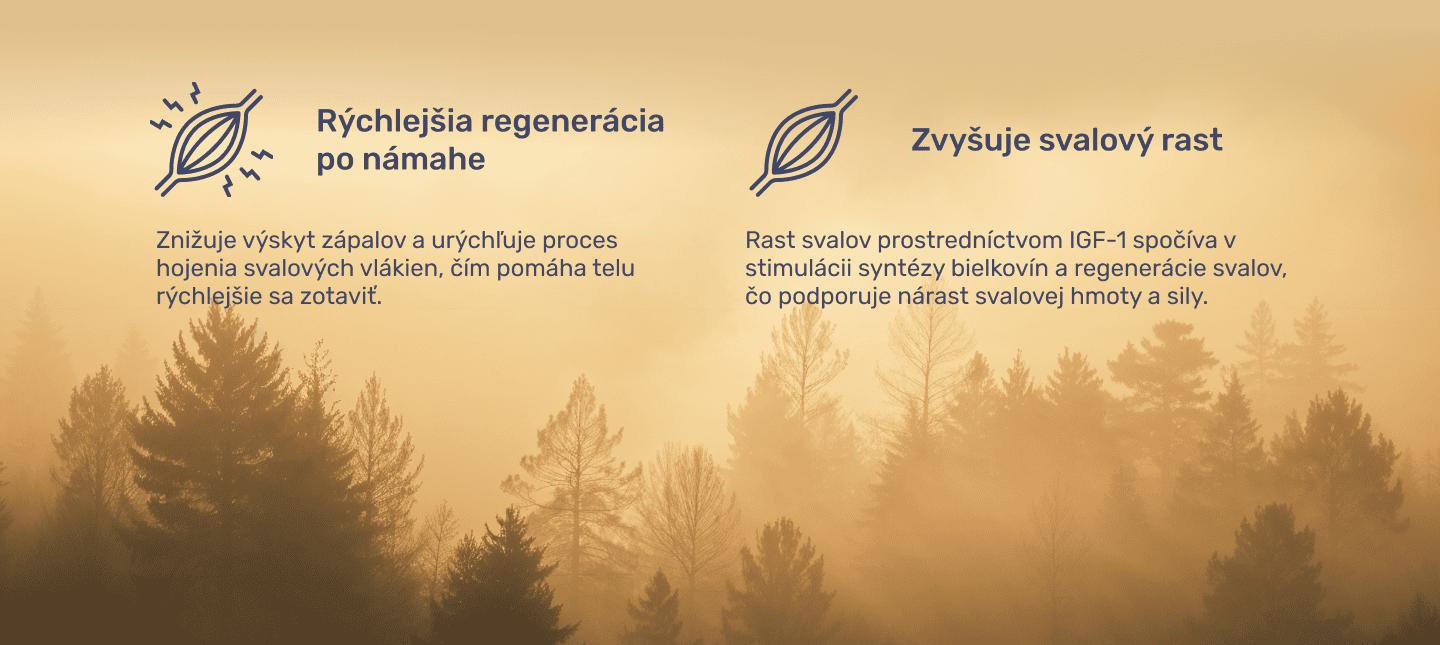 #1 - Infografika - Anabolic Deer - grafika znazornuje rychlejsiu regeneraciu a rast svalov
