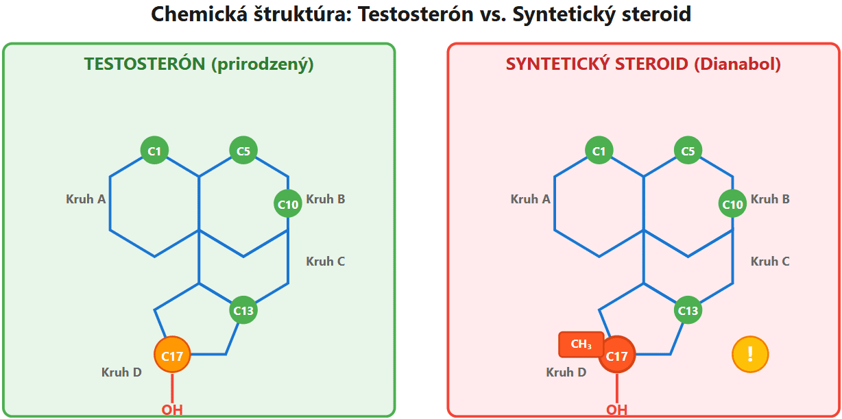 Porovnanie chemickej štruktúry prirodzeného testosterónu a syntetického anabolického steroidu s pridanou metylovou skupinou na pozícii C-17