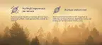 #1 - Infografika - Anabolic Deer - grafika znázorňuje rýchlejšiu regeneráciu a rast svalov