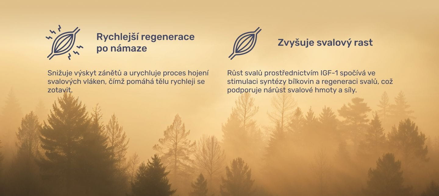 #1 - Infografika - Anabolic Deer - grafika znázorňuje rýchlejšiu regeneráciu a rast svalov