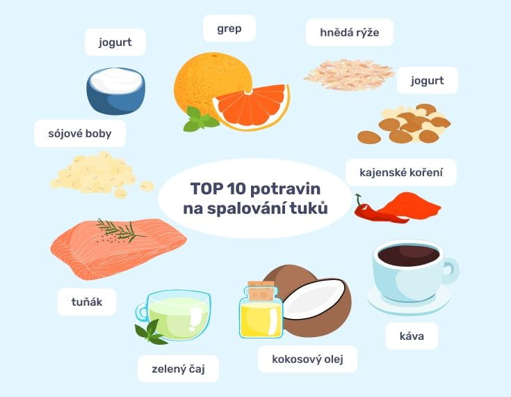 #3 - Infografika - HellBurn - Top 10 potravin vhodných na spalování tuků a hubnutí