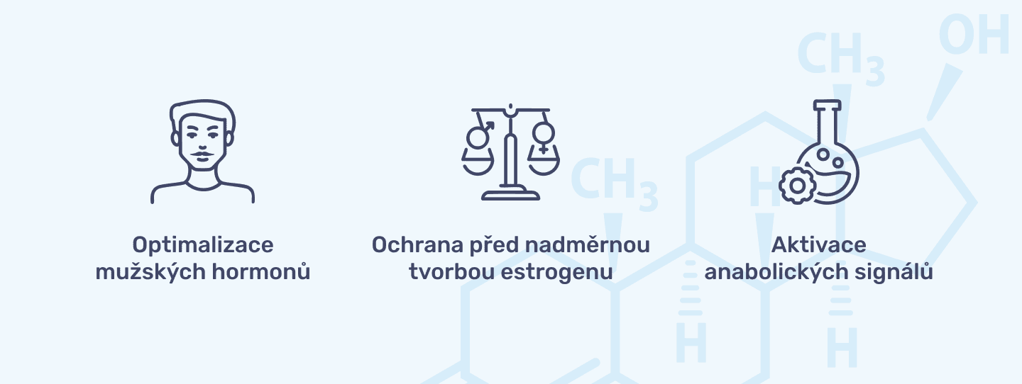 #1 - Infografika - EVOKE- Benefity uzivani produktu