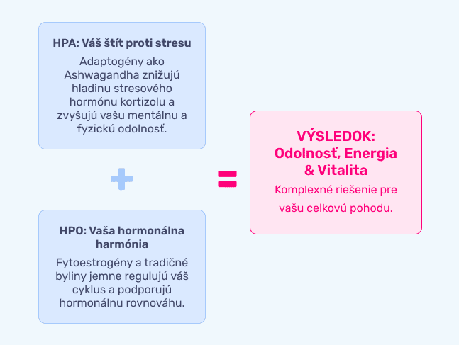 #3 - Infografika - Alpha Max for Lady - Hormonalna sila