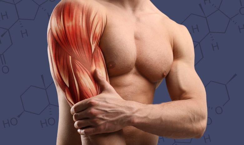 #2 - Infografika - Anogenin - bodybuilding a vplyv laxogeninu na rast svalov a sily