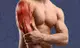 #2 - Infografika - Anogenin - bodybuilding a vplyv laxogeninu na rast svalov a sily