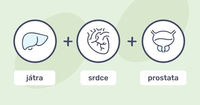#4 - Infografika - PCT lll - benefity pre srdce a mužskú prostatu