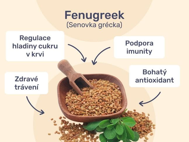 #3 - Infografika - AlphaMax For Lady - čtyři výhody řecké senkovky