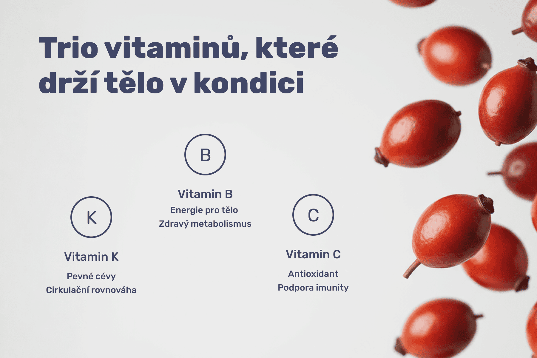 VItaminc_sipka_03 (4)