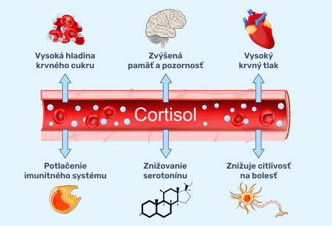 #2 - Infografika - Corticontrol - vplyv cortizolu na zdravie