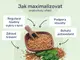 #3 - Infografika - I-Force - čtyři výhody řecké senky
