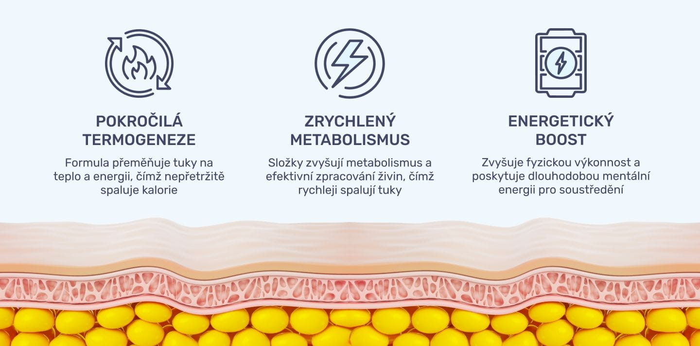 #1 - Infografika - Hellburn - 3 úrovně efektivního spalování tuků