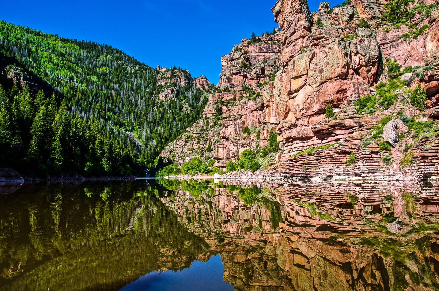 Flaming Gorge Carter Creek Canyon