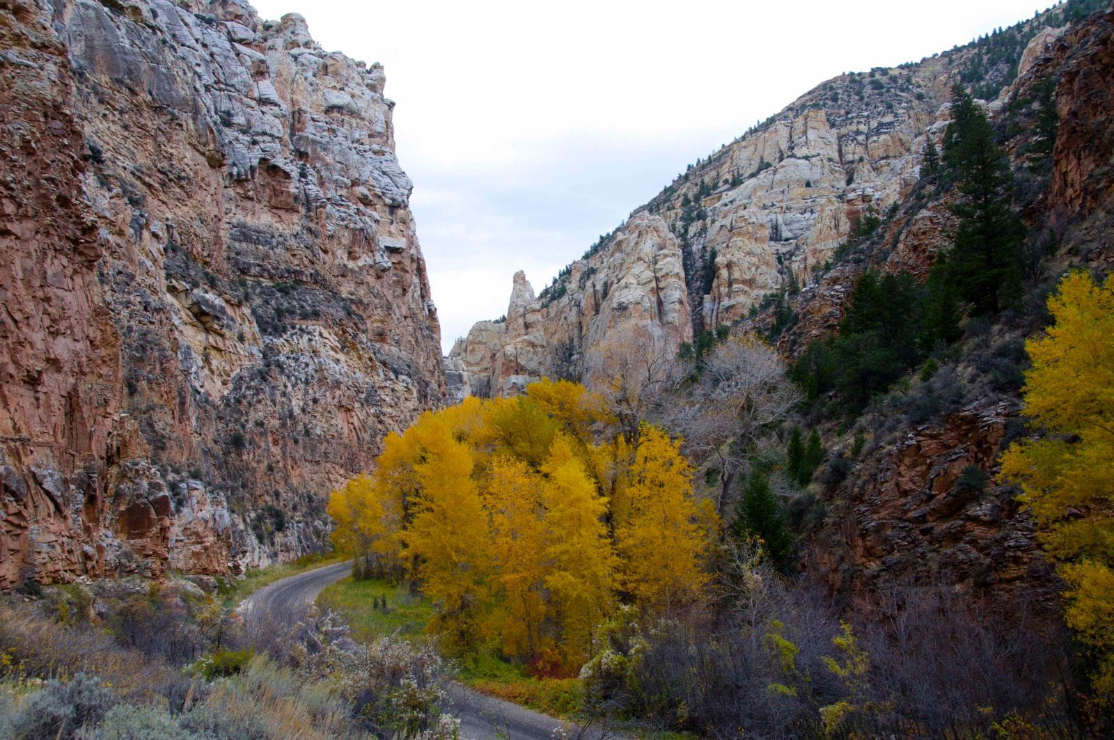 Sheep Creek Geological loop Flaming Gorge