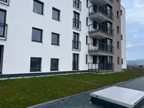 Zelená strecha