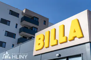 1 izbové byty