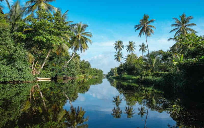 Top 5 Must-See Spots in Kerala’s Backwaters  