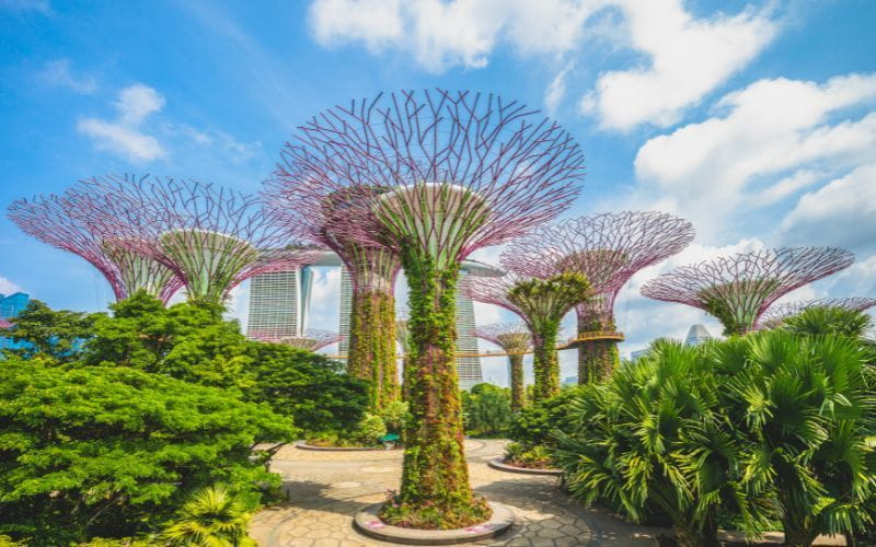 top Attractions in Singapore