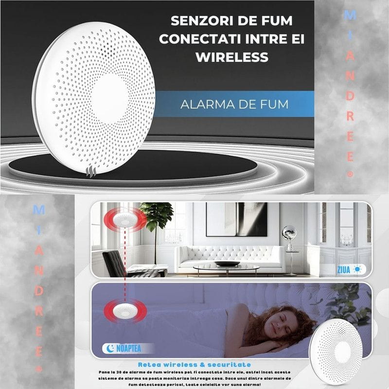 Protectie inteligenta casa