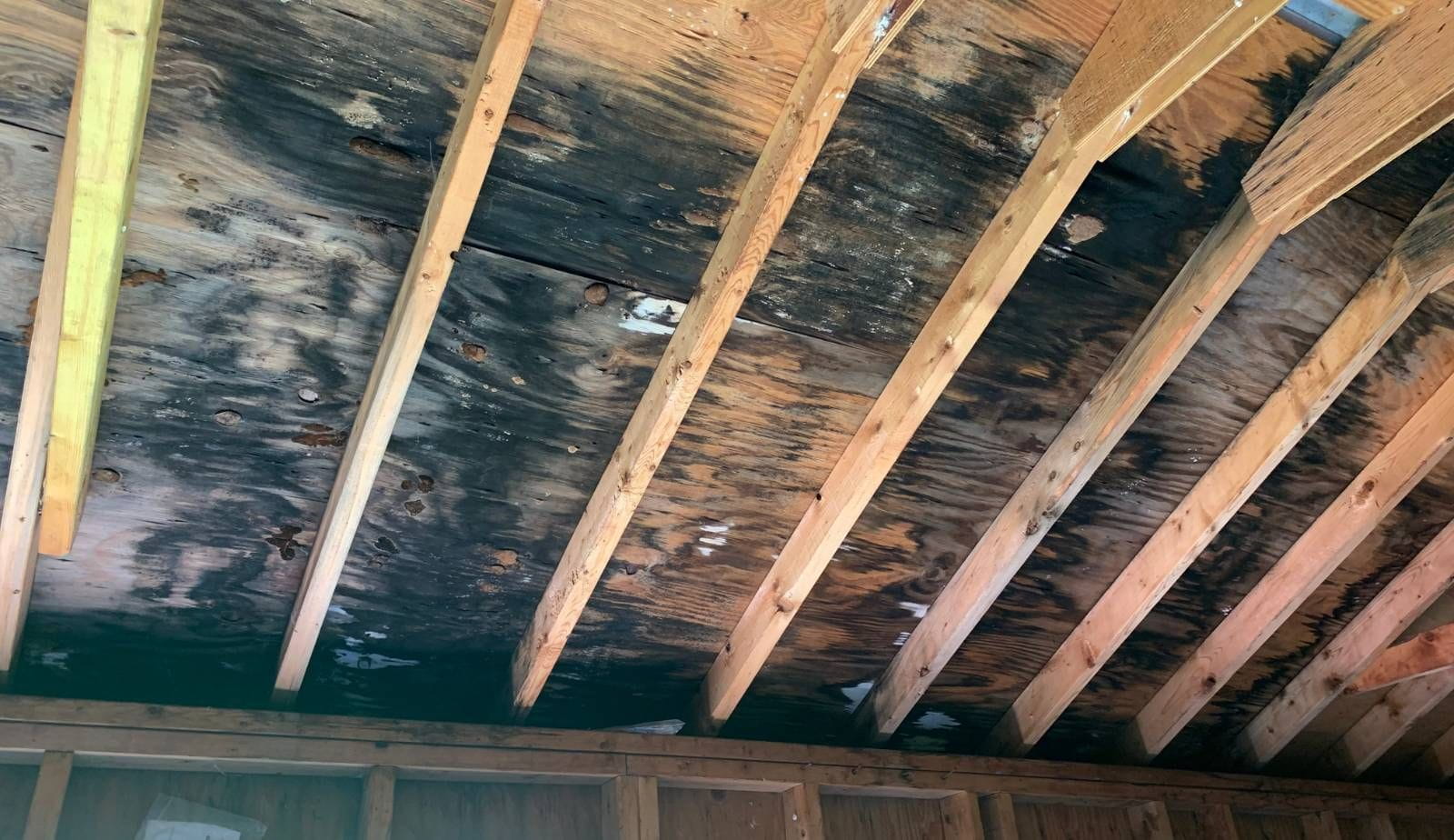 A water-stained ceiling in a home, indicating moisture issues that could lead to mold growth and the need for remediation.