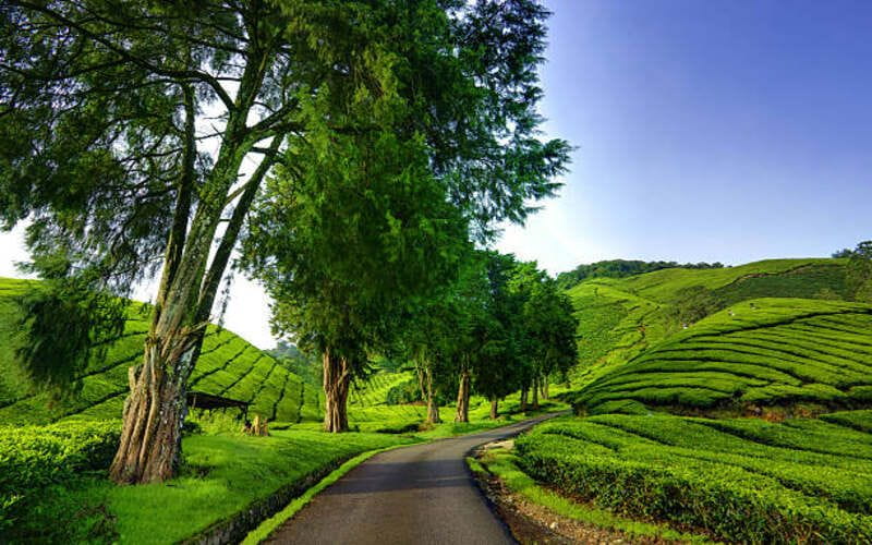 800 Top 6 Destinations in Malaysia for Nature Lovers