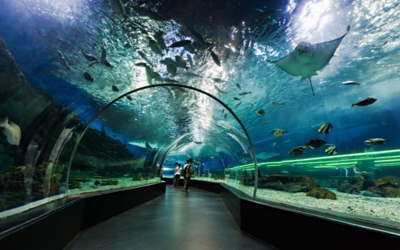 Attractions in Singapore