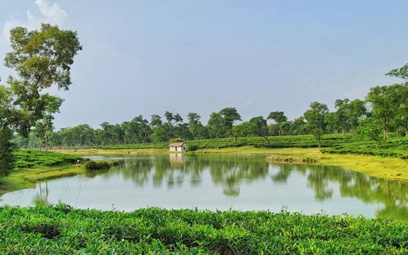 Things to do in Narsingdi