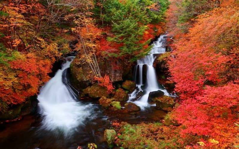 National Parks in Japan